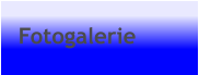 Fotogalerie